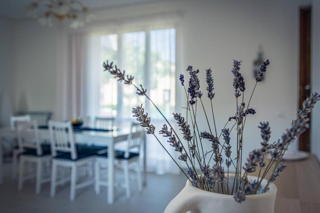 Casa Gu Villa Lido di Camaiore Eksteriør bilde